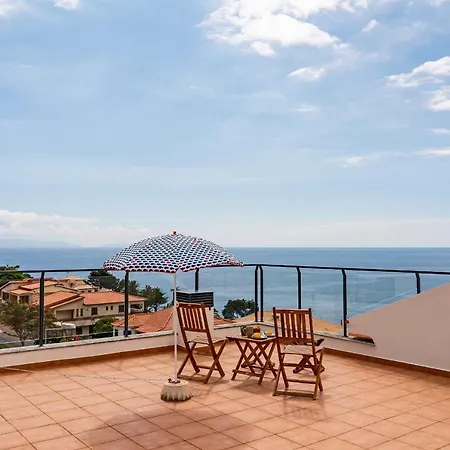 Lobo Marinho By An Island