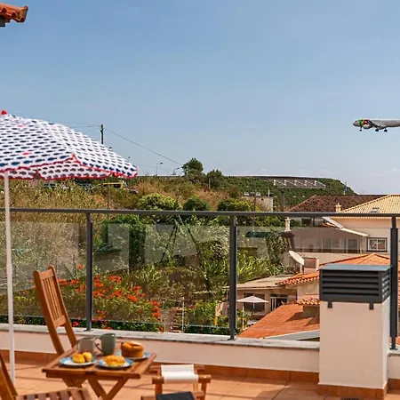 Lobo Marinho By An Island *