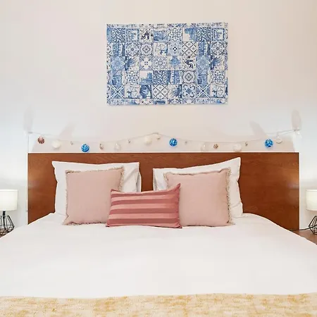 Lobo Marinho By An Island Santa Cruz (Madeira)